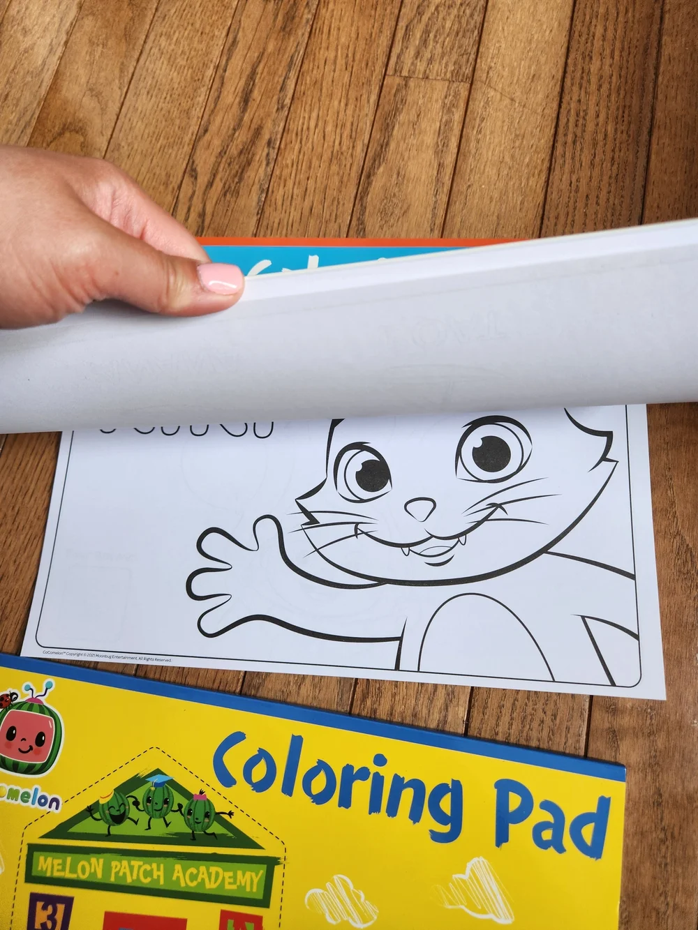 Cocomelon Big Coloring Books